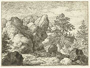 Rotslandschap