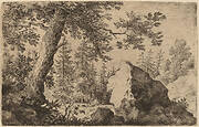 Boulder in the Woods