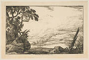 Clump of Trees