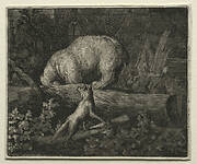 Reynard the Fox:  Trapping the Bear
