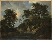 The Forest Stream
