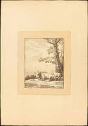 Cow Resting