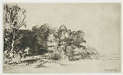 Clump of trees with a vista