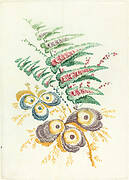 Fantastic Flowers with Oyster-shell Blossoms