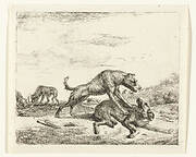 Vechtende honden