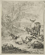 The Herd at Rest