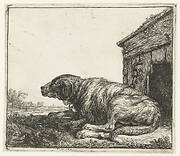 Waakhond