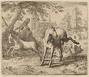 The Mare and the Wolf