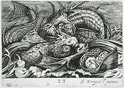 Two Fish Fighting