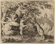 The Bear and the Wolf are Persecuted