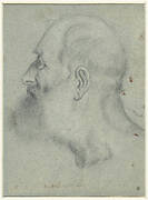 Hoofd van man met baard, in profiel naar links