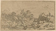 Goat Herd on a Hill